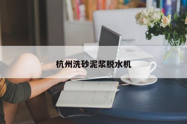杭州洗砂泥漿脫水機